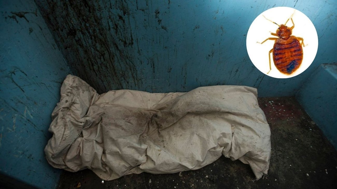 Chinches devoran vivo a un hombre en la cárcel