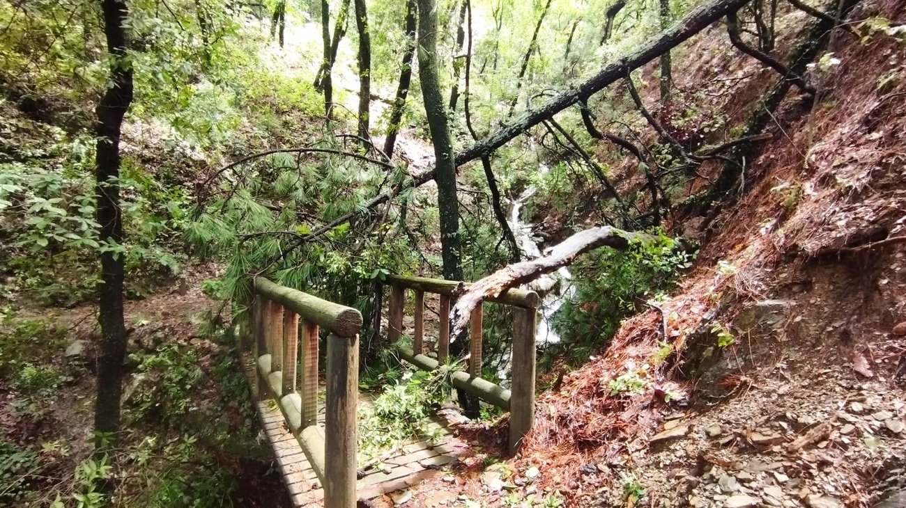 Apoya y disfruta Chipinque; arman jornada de actividades