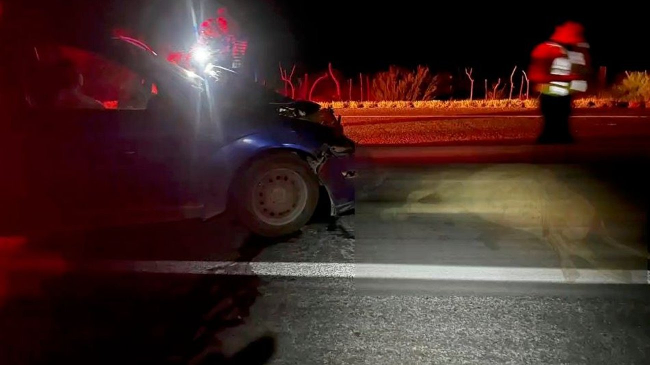 Conductora impacta su auto contra vaca en carretera a Monclova 