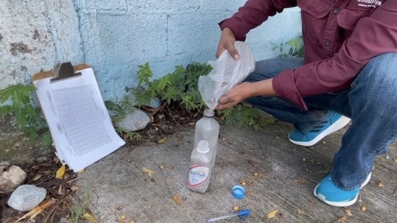 Alertan por 20 casos de dengue en Ciudad Victoria