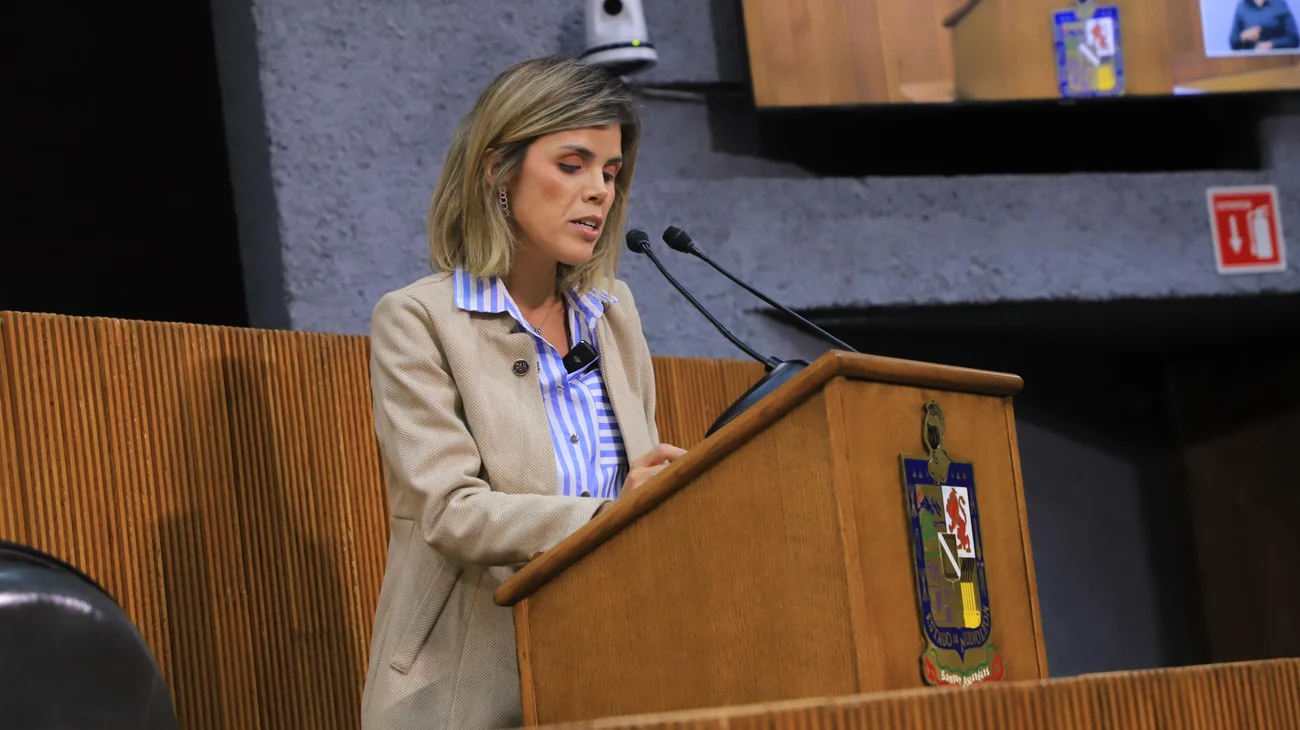 Pide PAN que investiguen eliminación de información de SP