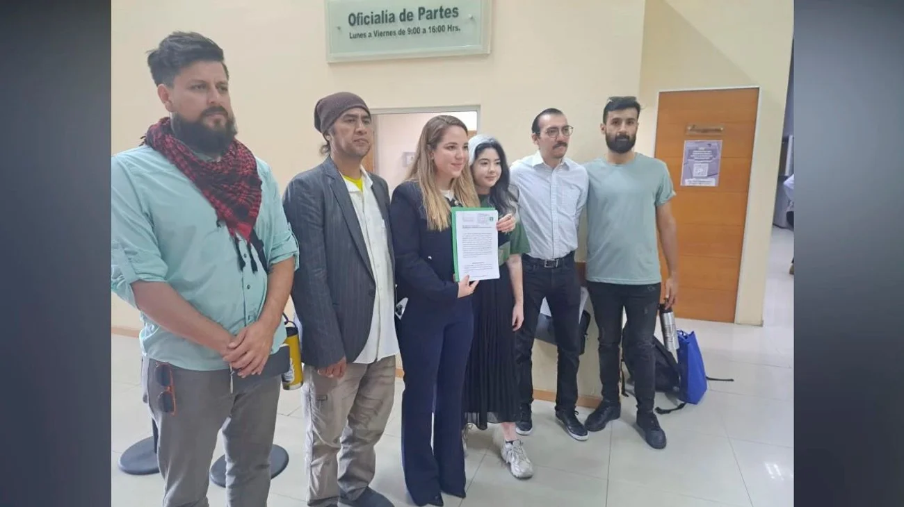 Pide Partido Verde más protección para evitar ataque de osos