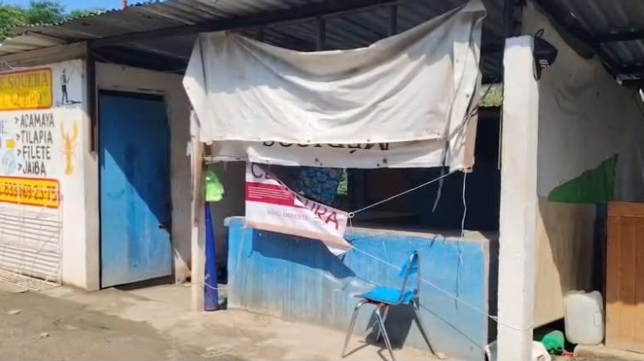 Clausuran pescadería en Tampico por vender carne de cocodrilo