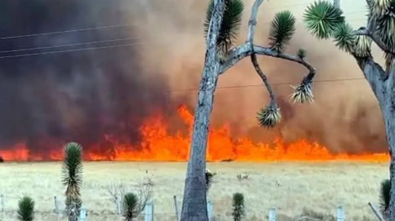 Reportan en Huachichil 100% de control del incendio forestal
