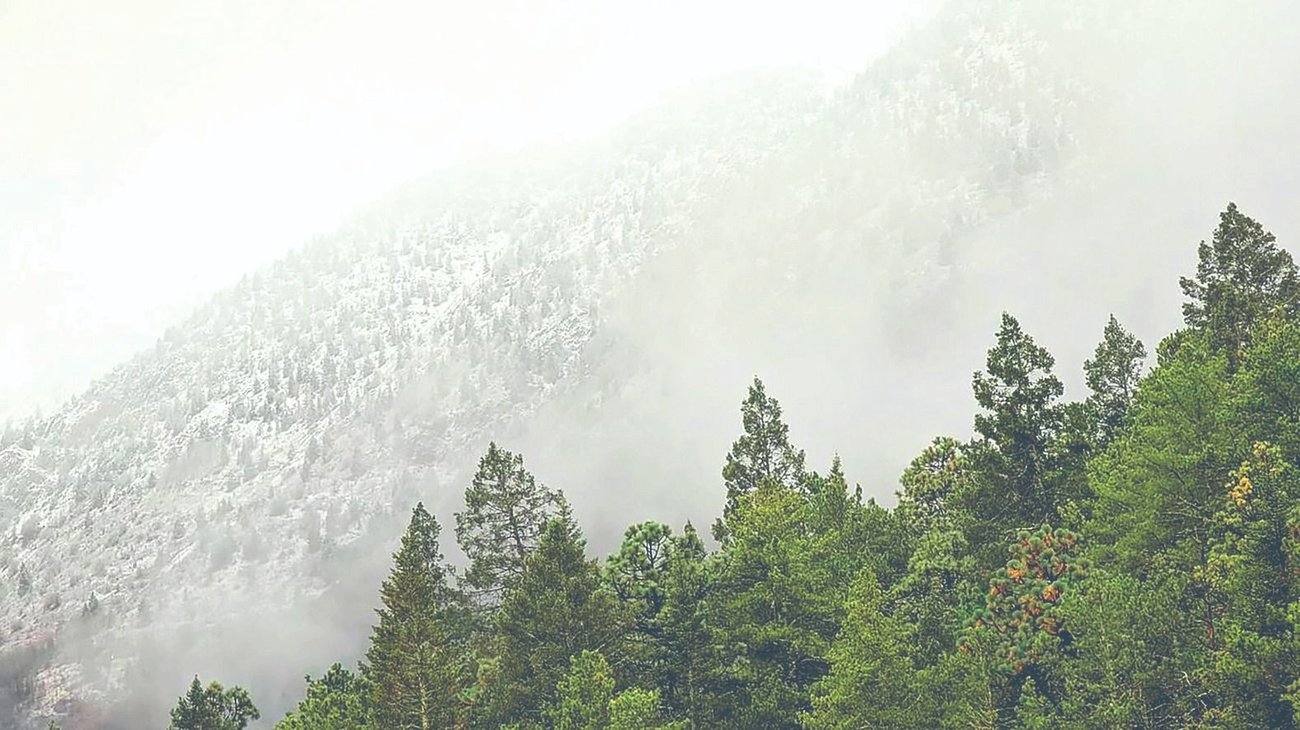 coahuila_bajas_temperaturas_nevada_349459fd62