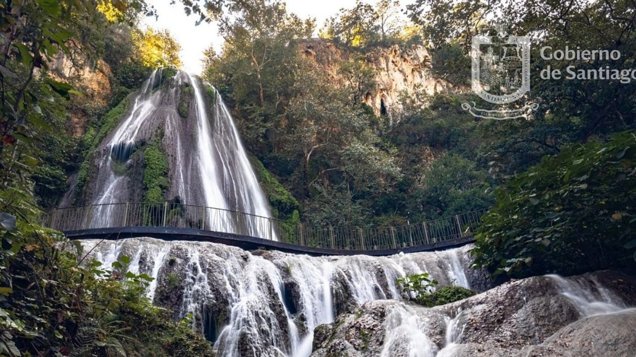 cola_de_caballo_d8ceb80ec6