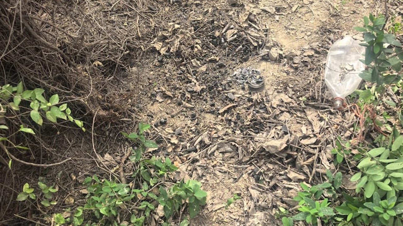 colectivo_restos_viaducto_reynosa1_1ebf4a78b9