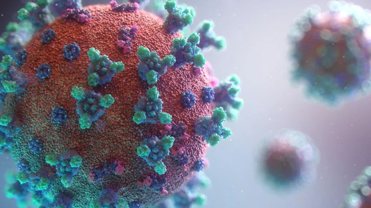 Confirman primer caso humano del virus mortal B en Hong Kong