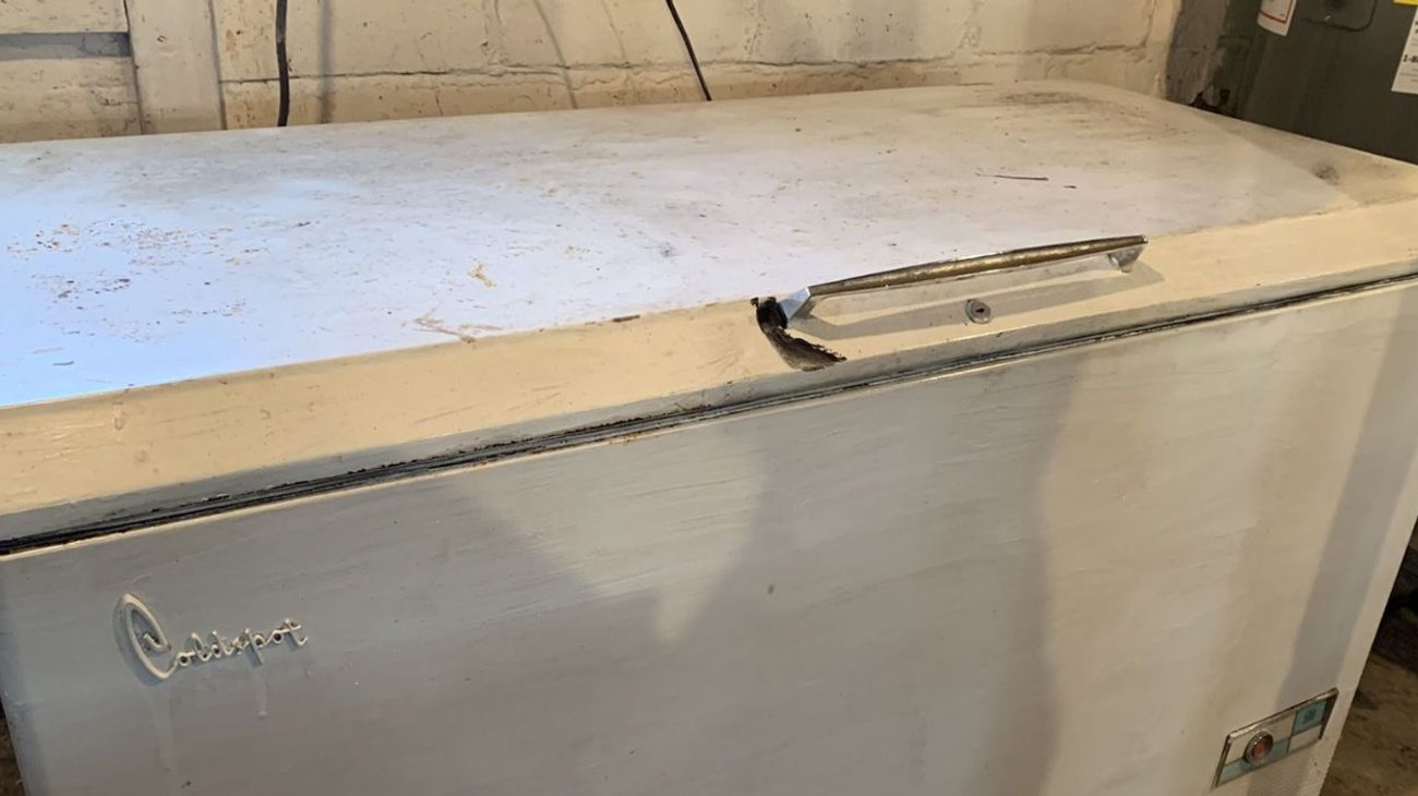 Madre oculta en el congelador los cuerpos de sus bebés