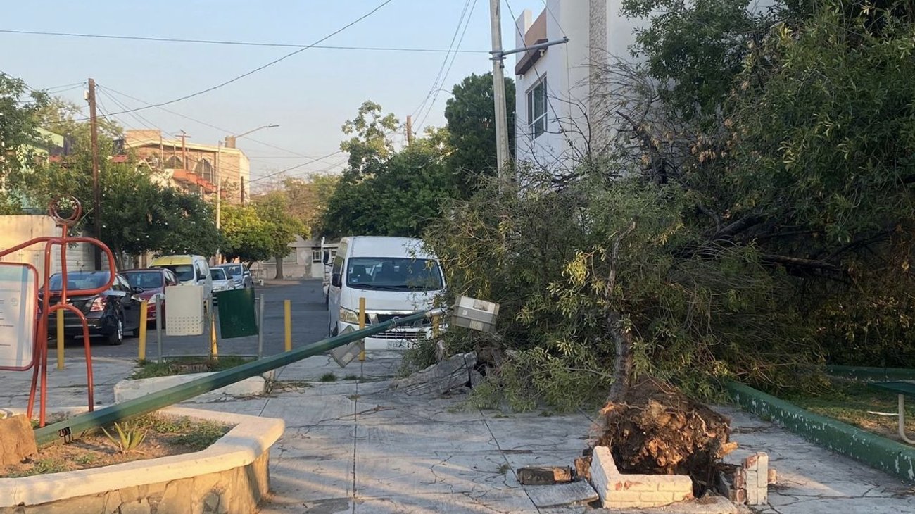 Continúan los daños por las lluvias en el área metropolitana