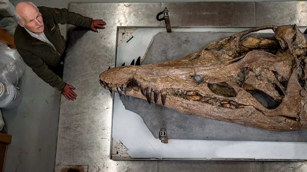 Descubren cráneo de monstruo marino superdepredador