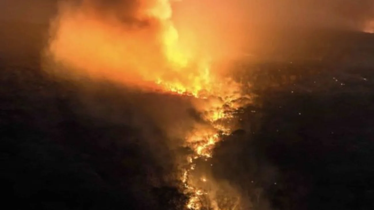 Crecen los incendios forestales en Santa Cruz, Bolivia