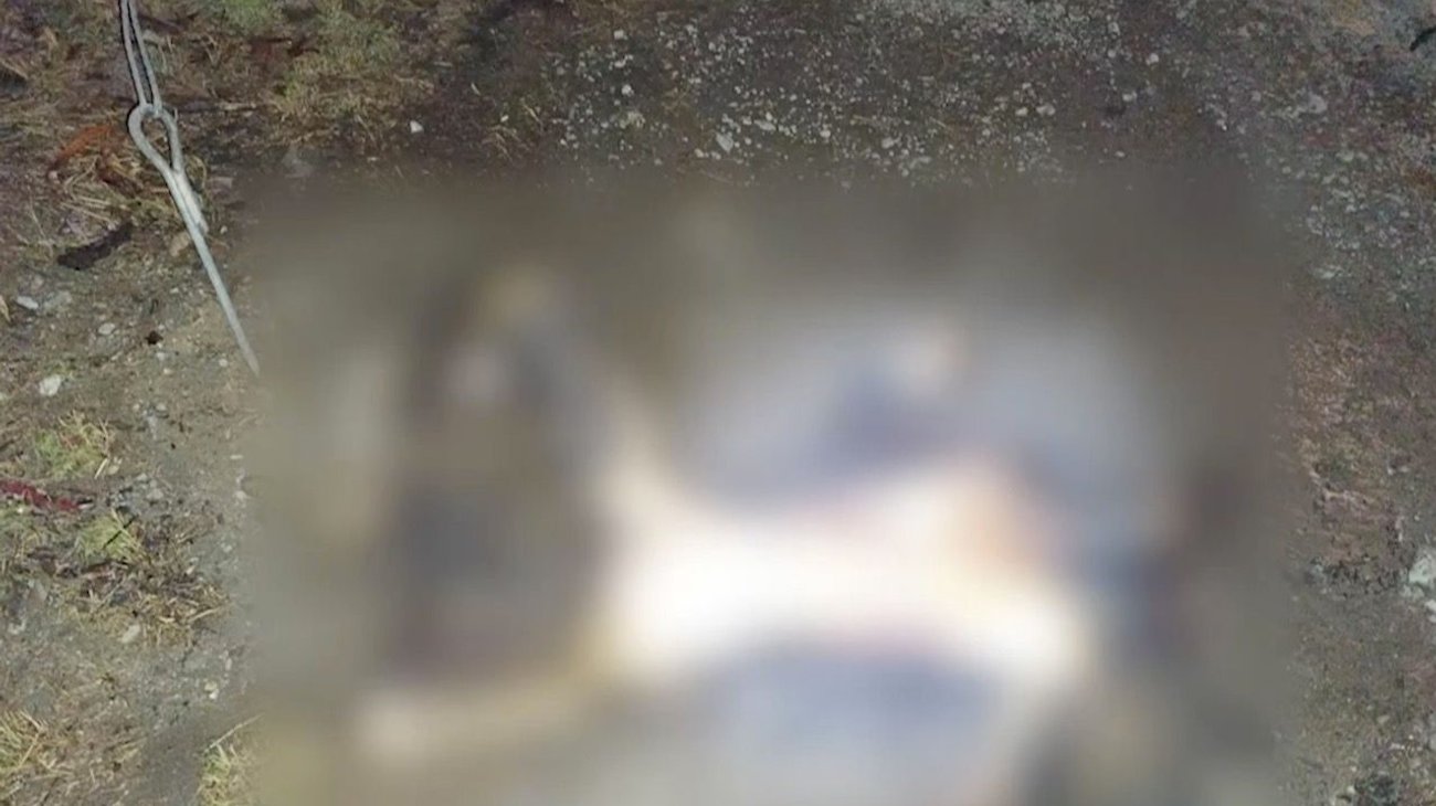 Tiran cuerpo de hombre y le prenden fuego en Guadalupe