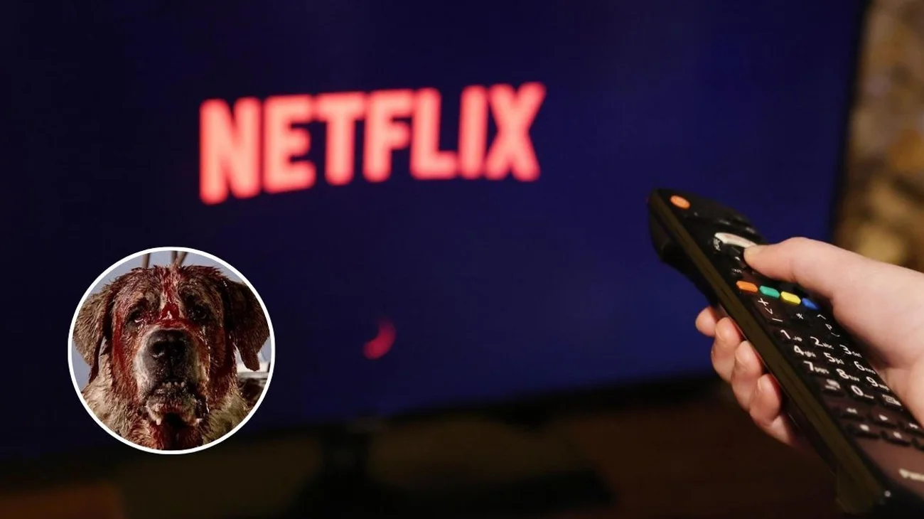 Llevará Netflix a la pantalla 'Cujo' de Stephen King