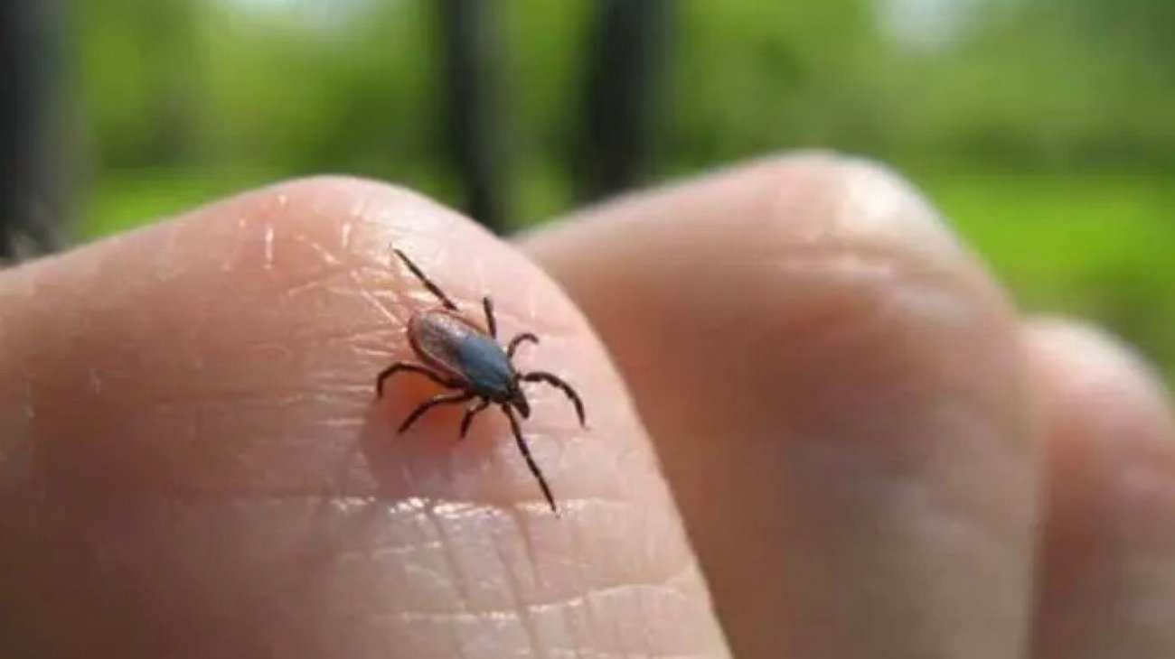 d0925e90_15ce_4de9_b859_c9f00d70670b_56952a0752