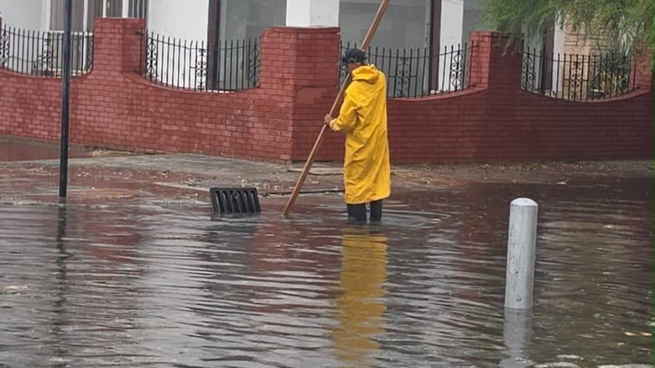 Lluvias y fuertes vientos provocan daños en Torreón