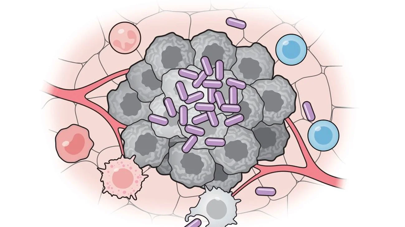 Crean vacuna que logra suprimir el cáncer en ratones
