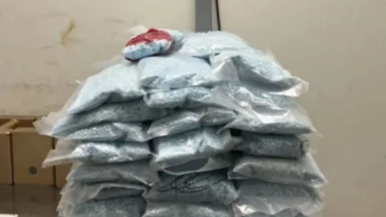 Decomisan 50 kg de fentanilo en frontera con California