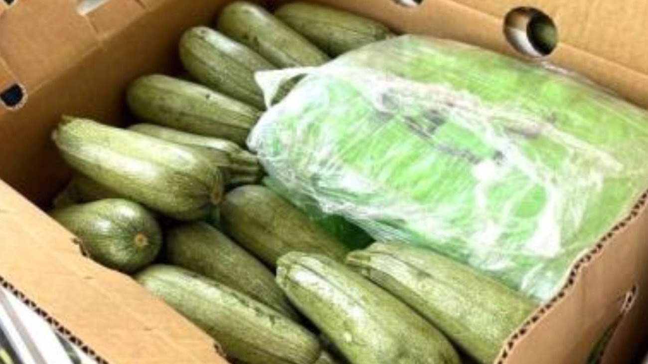 Decomisan cargamento de metanfetamina en Tamaulipas