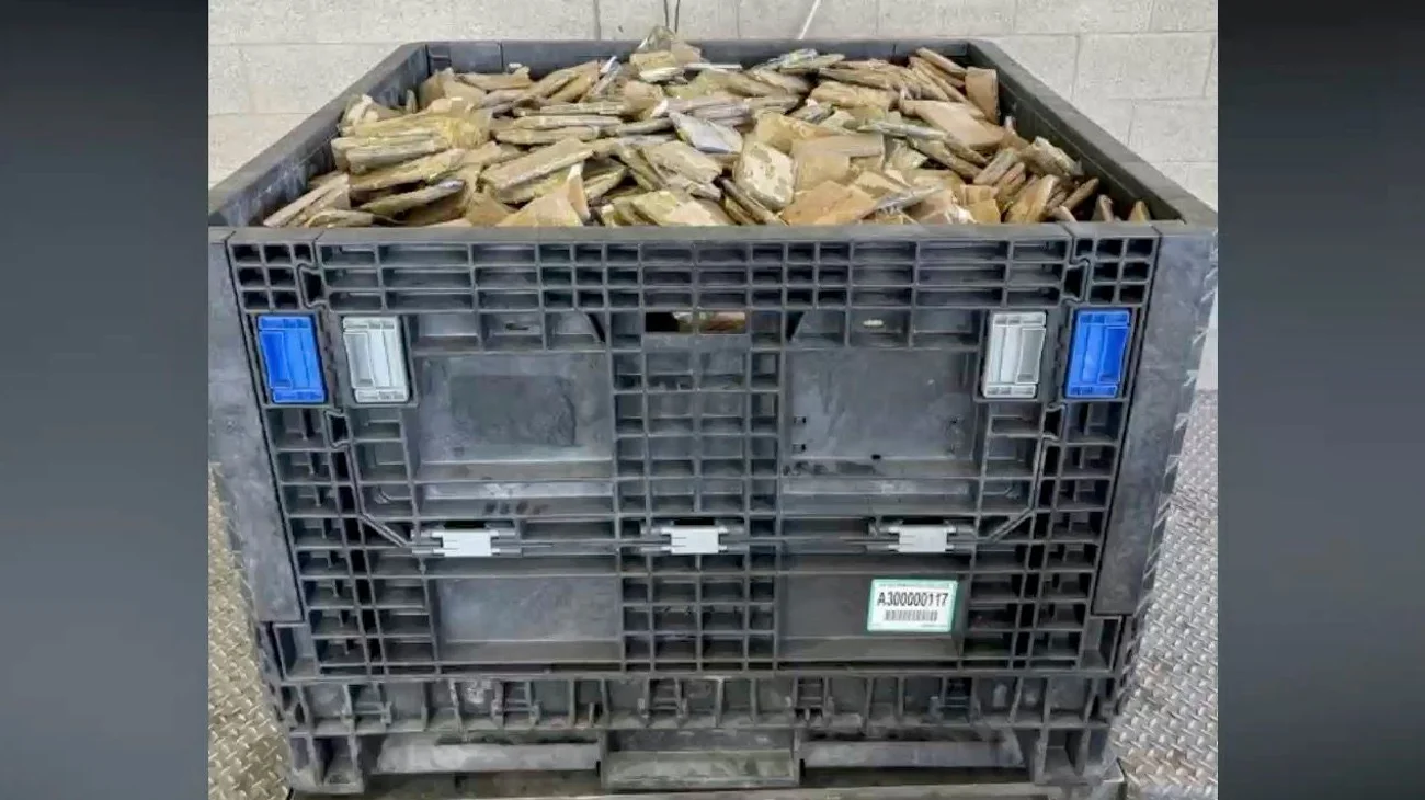 Aseguran más de $8 mdd en metanfetamina en cargamento de chayote