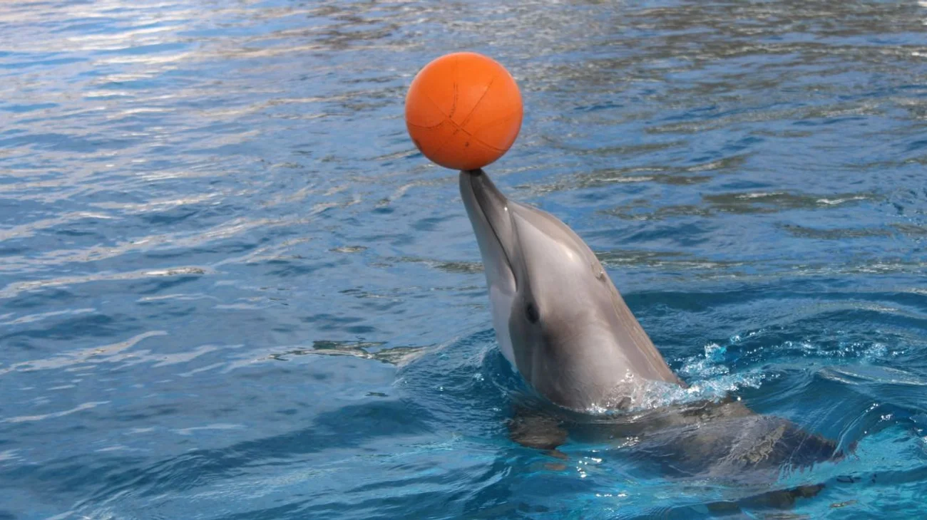 deflines_mexico_espectaculo_4f2a9ca8ce