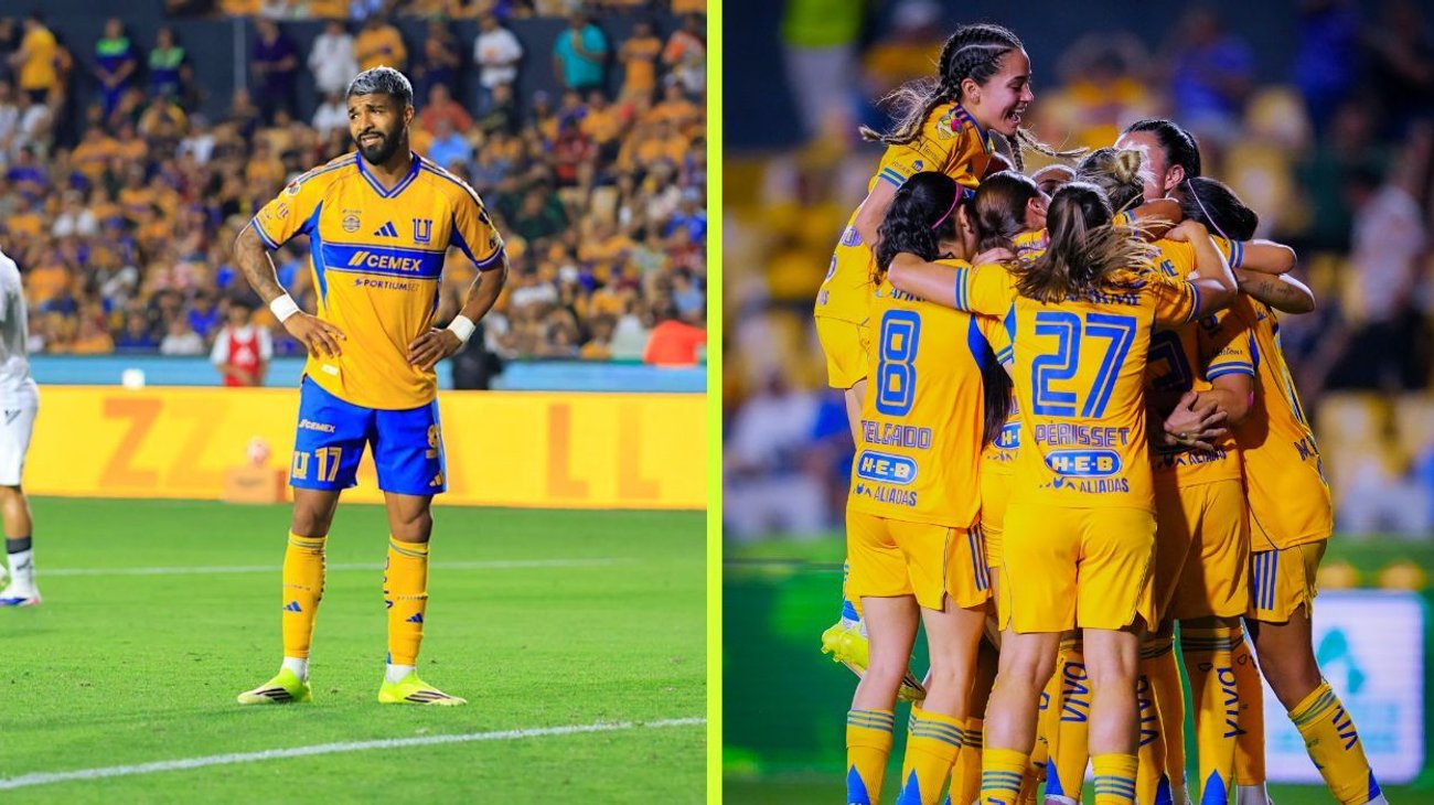 deportes_dualidad_tigres_8aaa572341