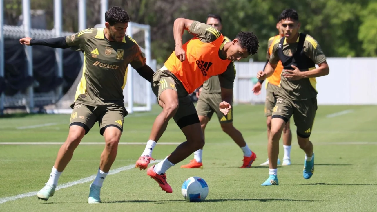 deportes_tigres_4ff975218a