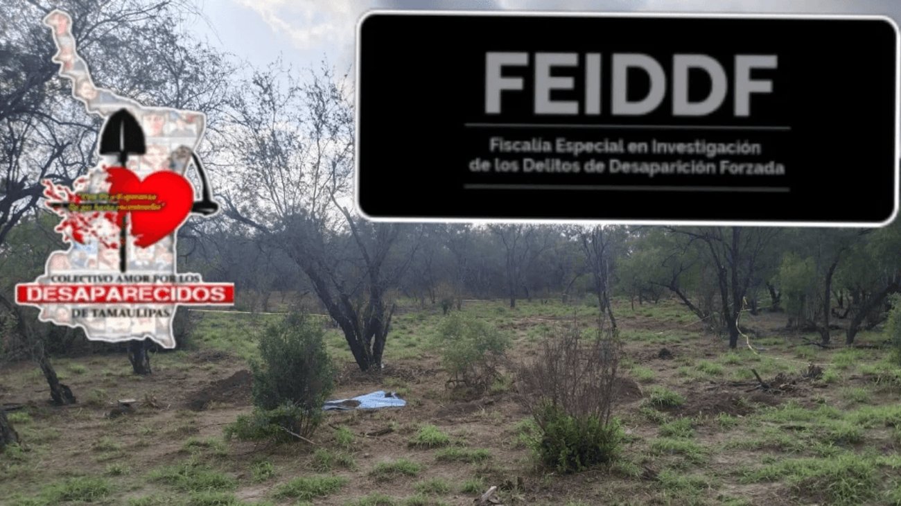 Reanudan labores de procesamiento con restos óseos en Reynosa