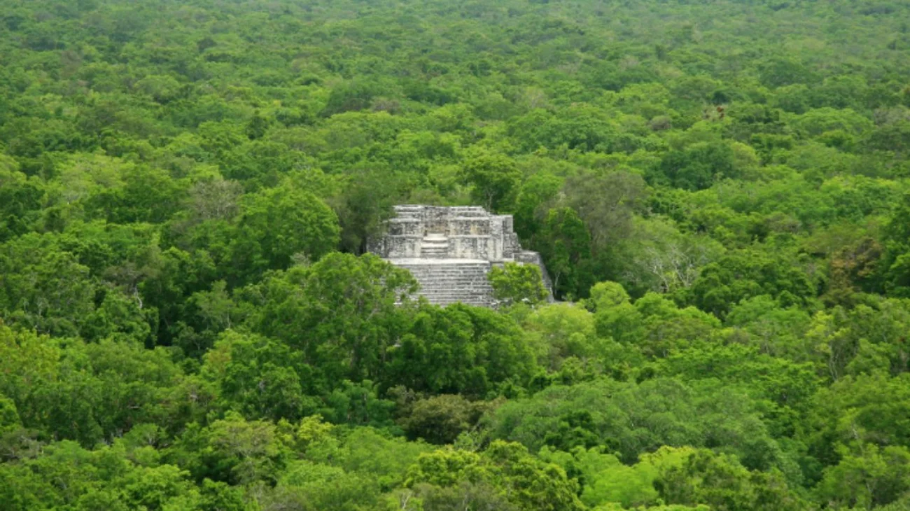 Estudiante encuentra ciudad maya oculta por la vegetación