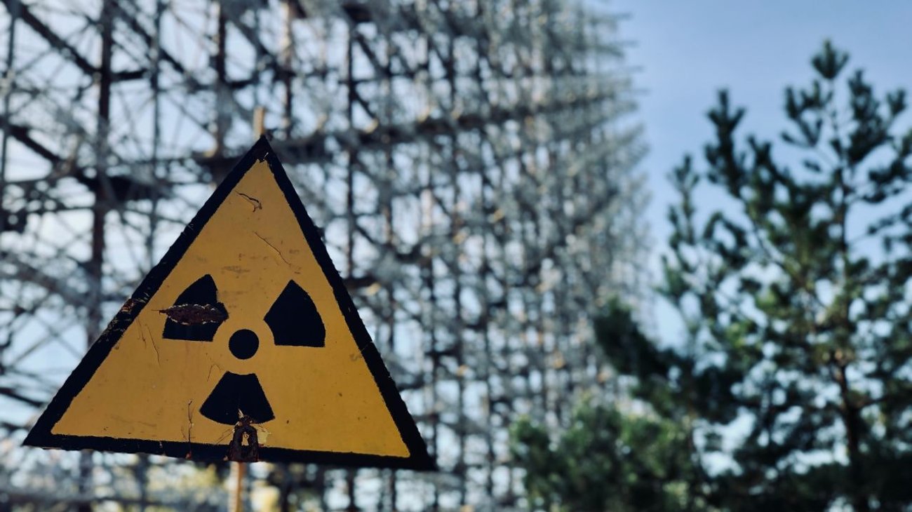 Descubren gusanos resistentes a la radiación en Chernóbil