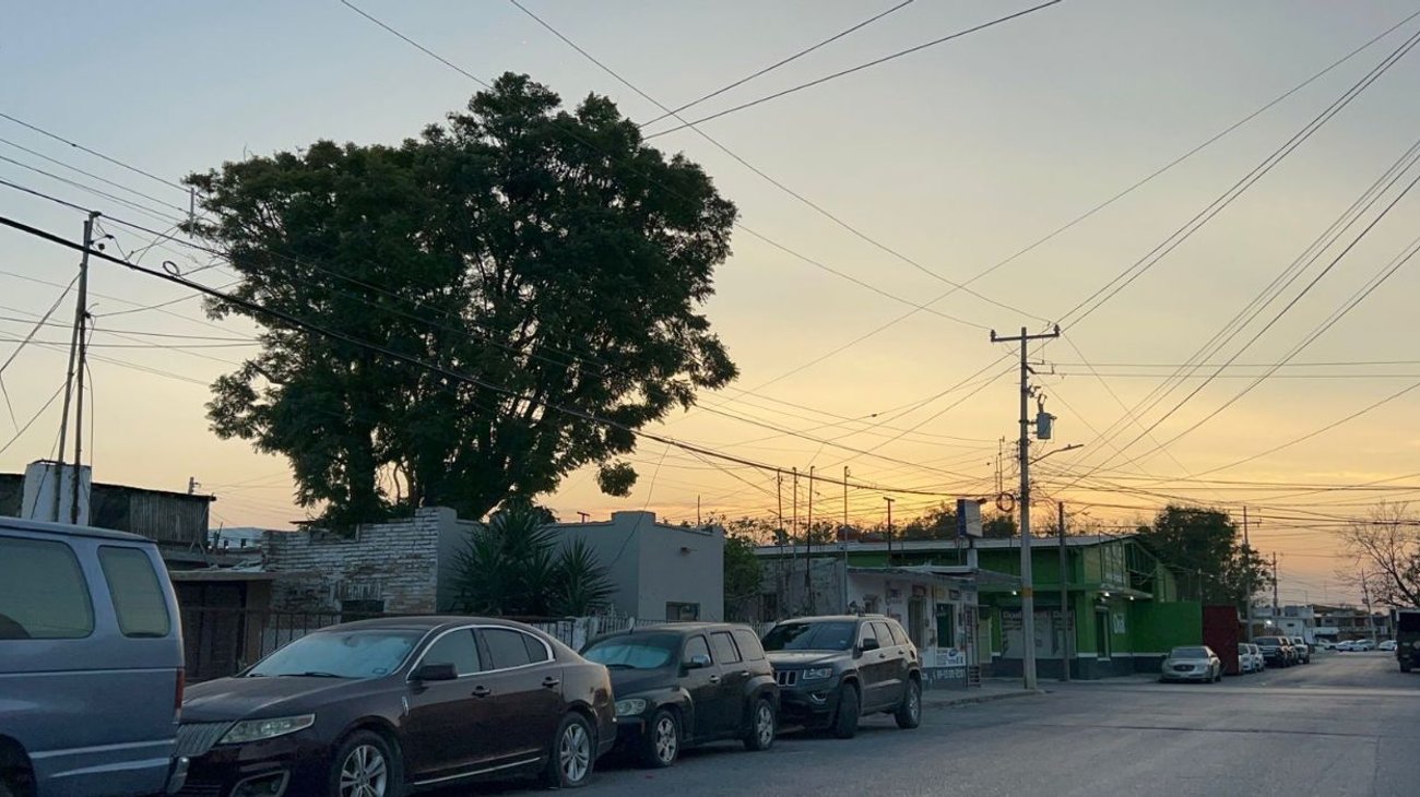 Familia despide ejemplar de jacaranda de más de 50 años