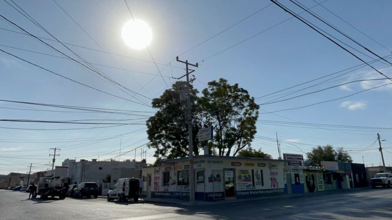 despiden_arbol_jacaranda_reynosa_d68e6ec6ce