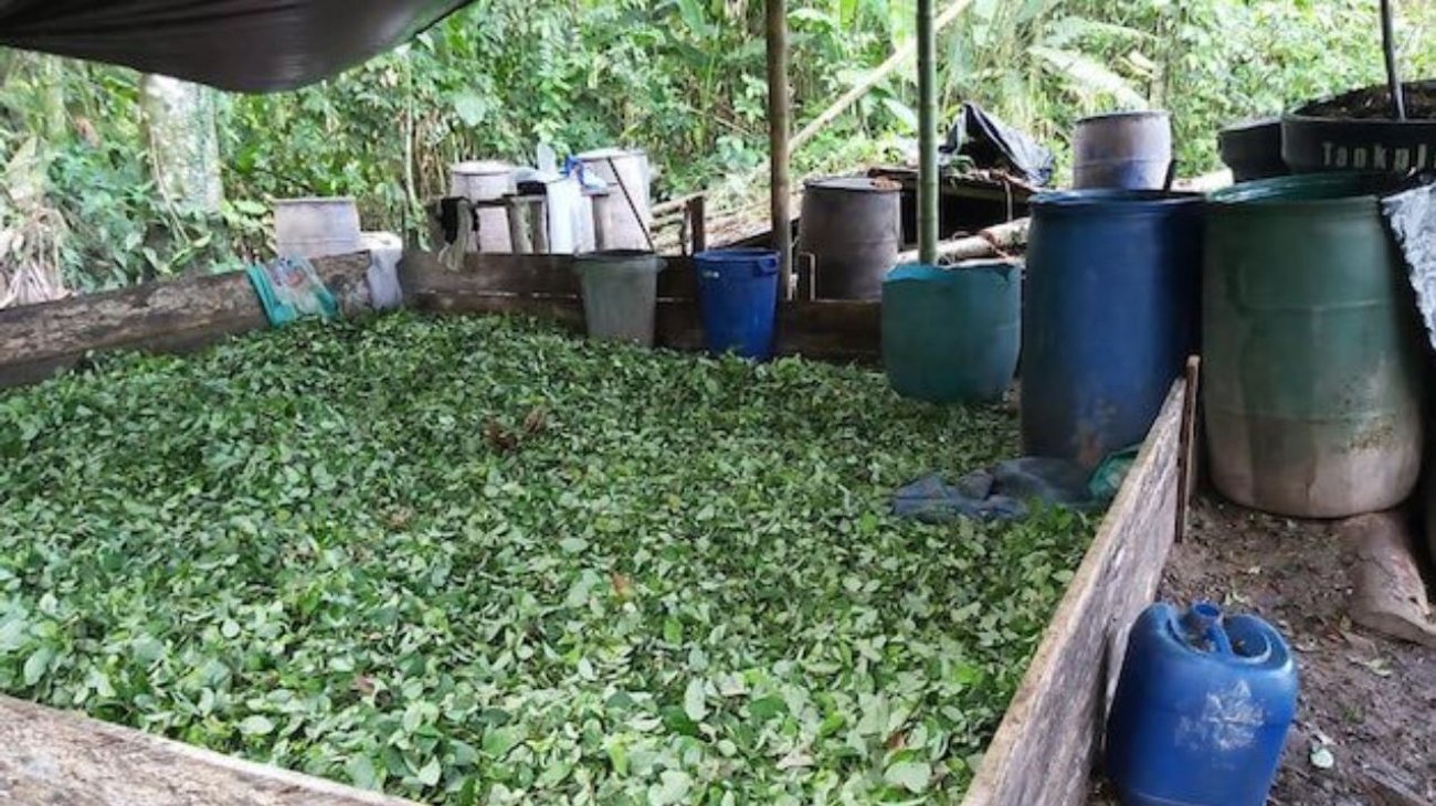 Destruyen seis laboratorios para cocaína en Colombia
