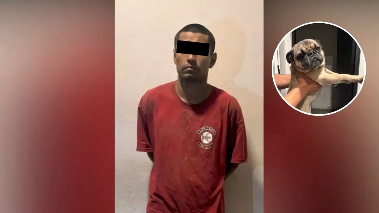 Capturan a hombre tras robarse perro de domicilio en Guadalupe