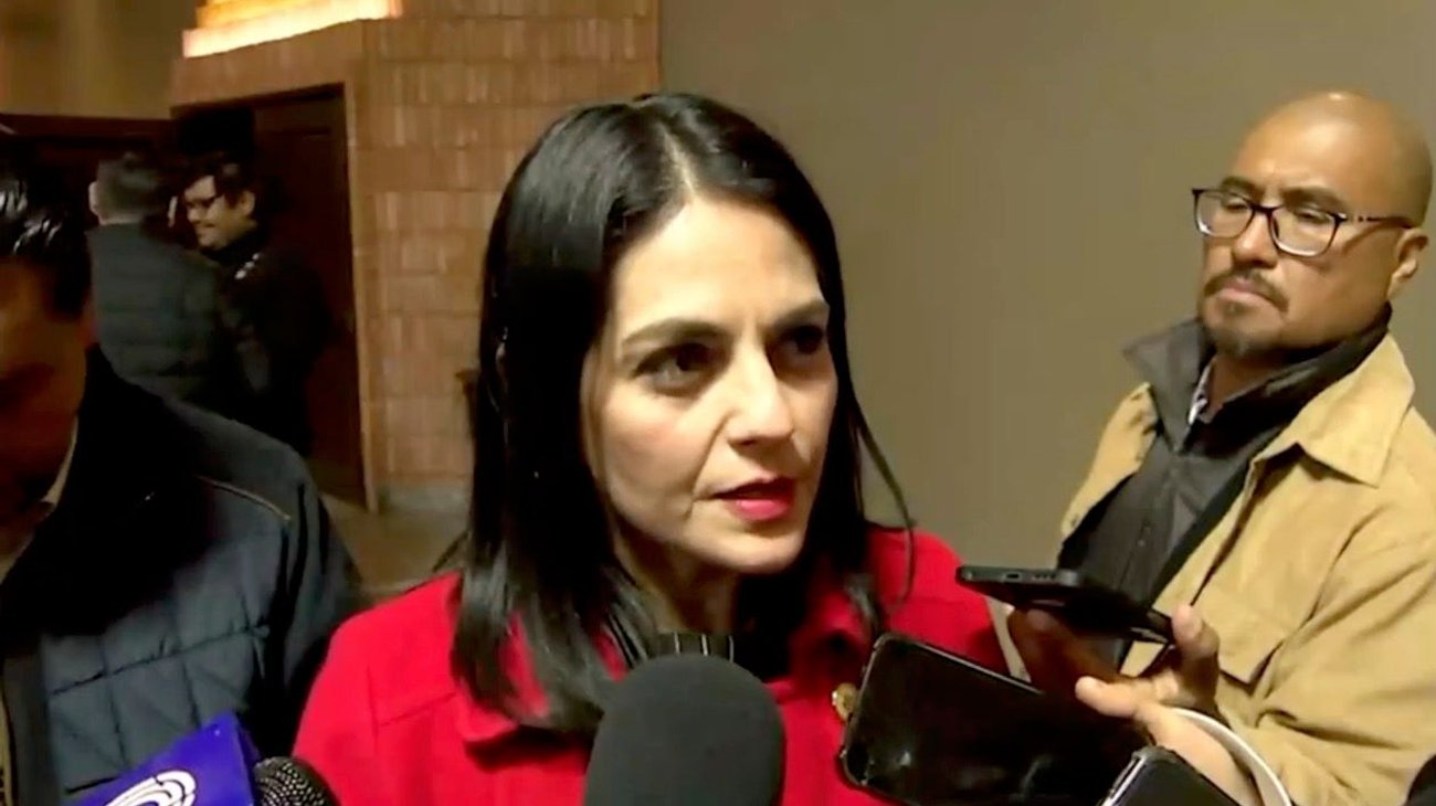 diputada_violencia_vicaria_fd083dcc50