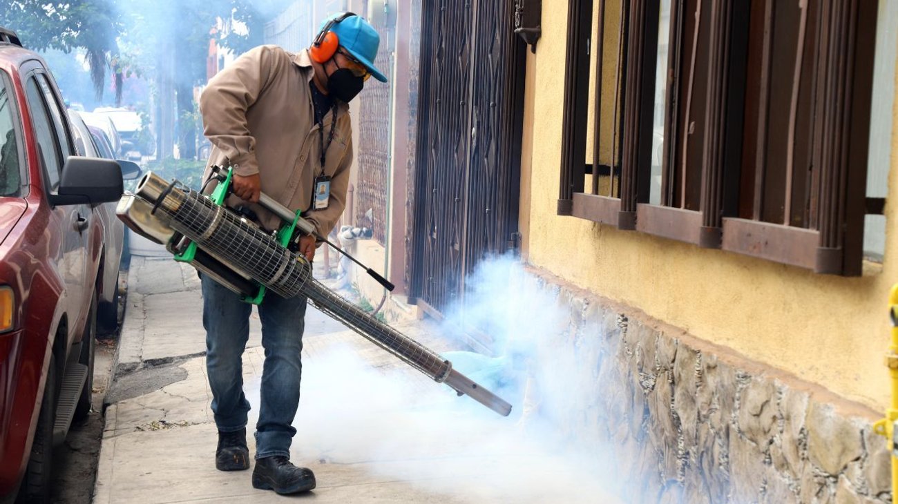 Van 61 casos de dengue en NL; llaman a tomar medidas