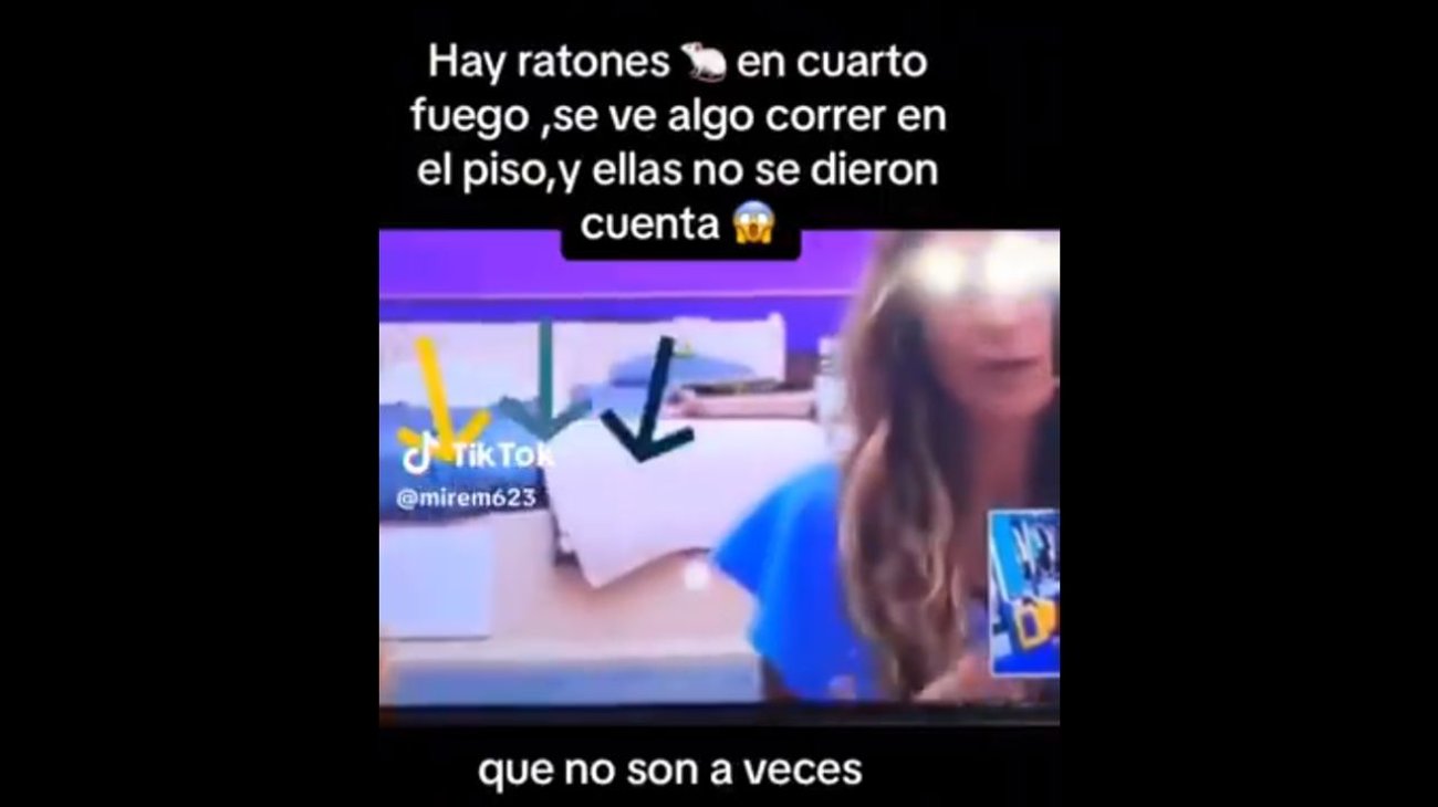 Descubren plaga de ratones en La Casa de los Famosos 4