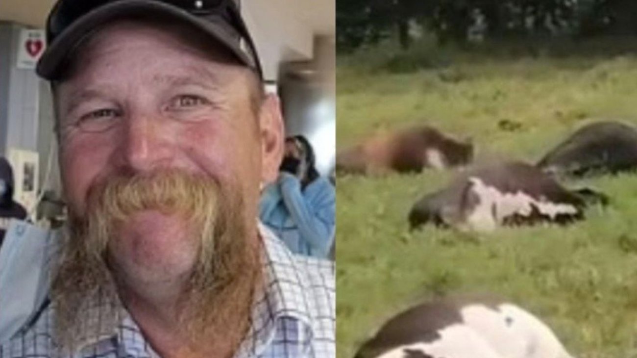 Mueren ganadero y sus 37 vacas tras caerles un rayo en EUA
