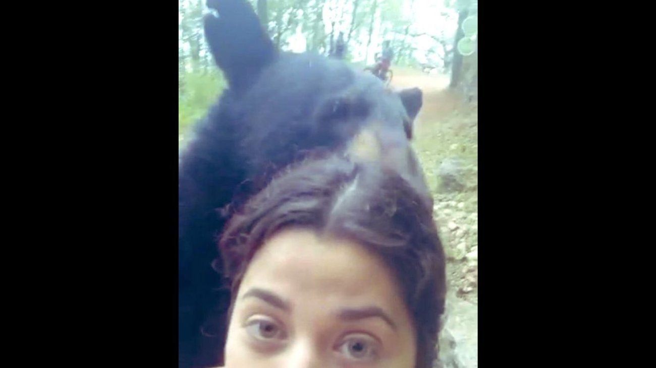 Multa Profepa a 7 funcionarios por castrar a 'oso sociable'