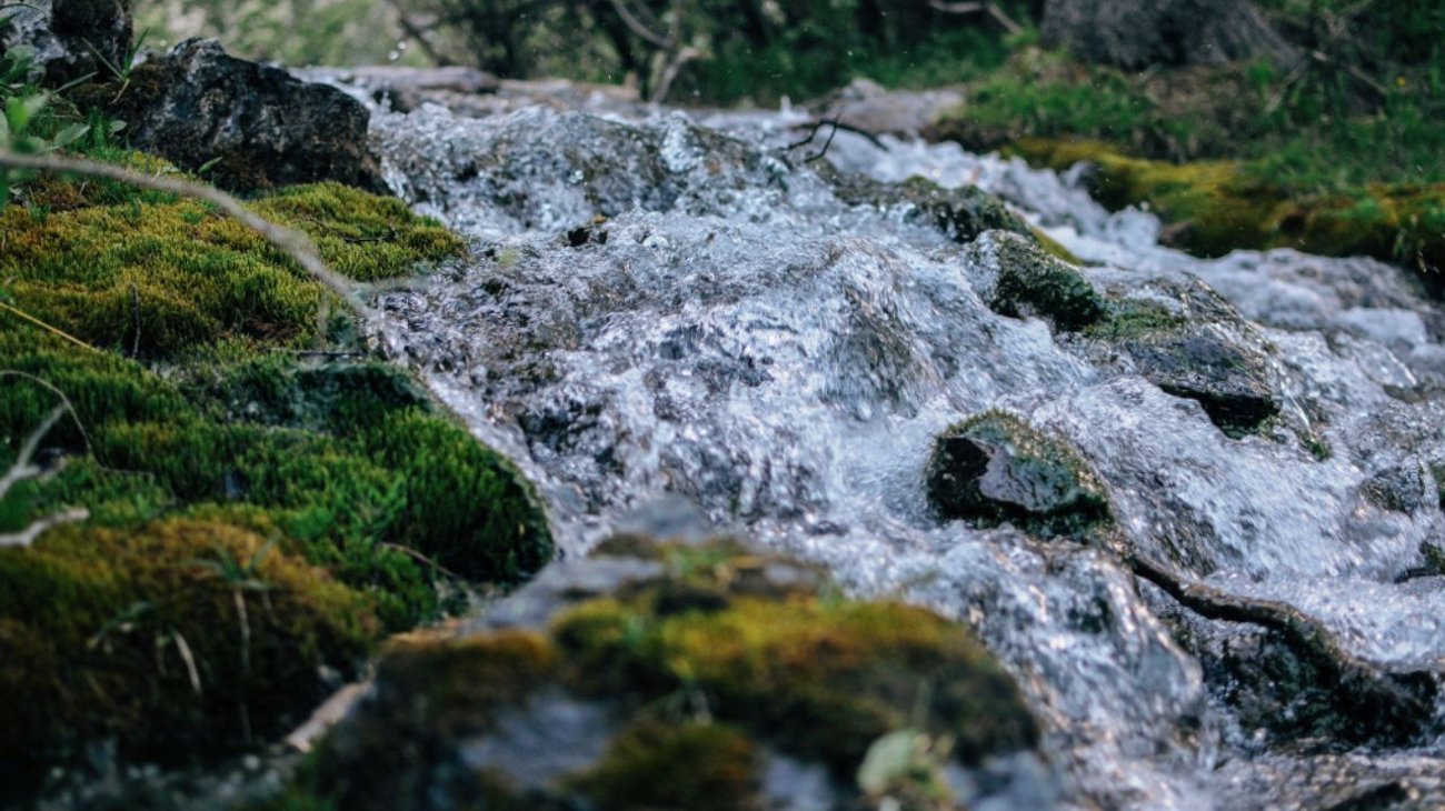 Dos hermanitos mueren ahogados en un picnic en Californa