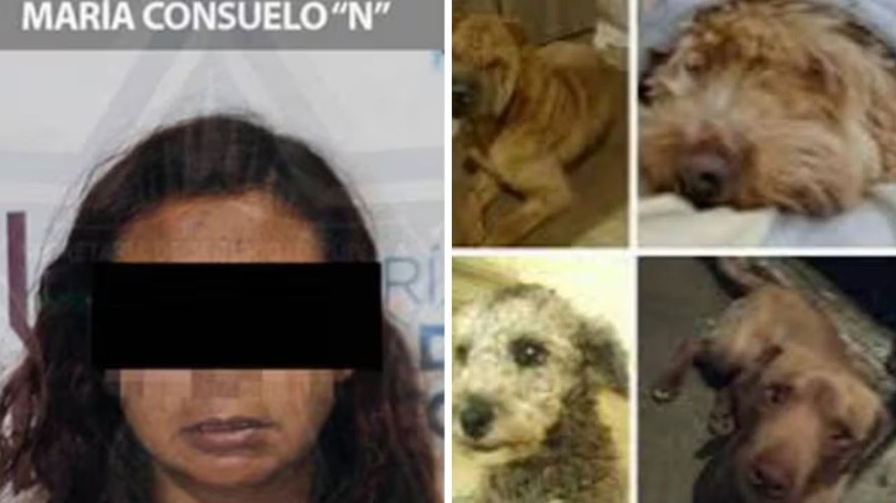 Detienen a mujer por vender tacos de perro en Puebla