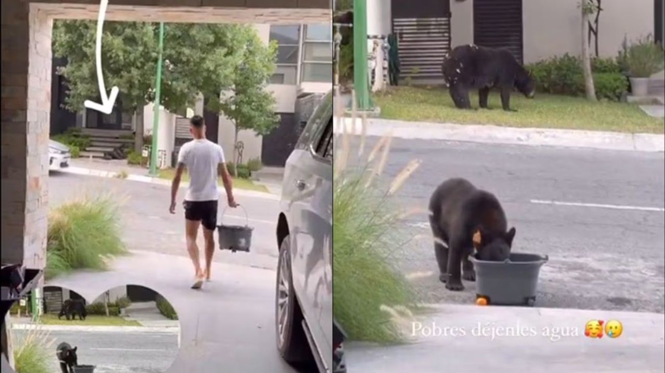 Maxi Meza de Rayados sirve agua a osos ante ola de calor