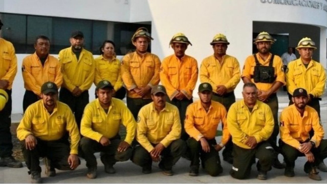 Llegan brigadas de 3 estados para sofocar incendio forestal