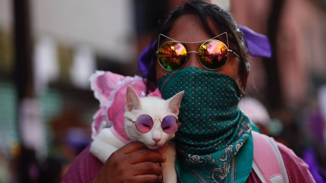 Por ley, los dueños de mascotas deberán registrarlas en CDMX