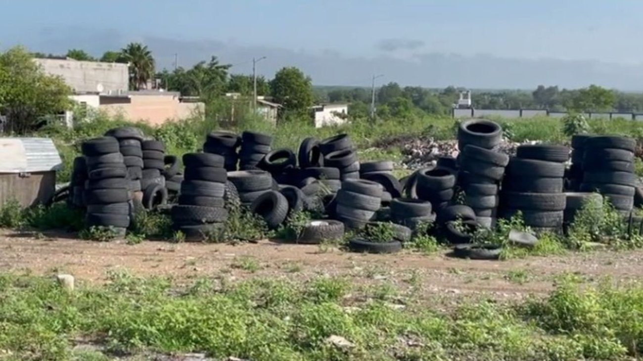 Confirman 12 casos de dengue en Ciudad Victoria, Tamaulipas