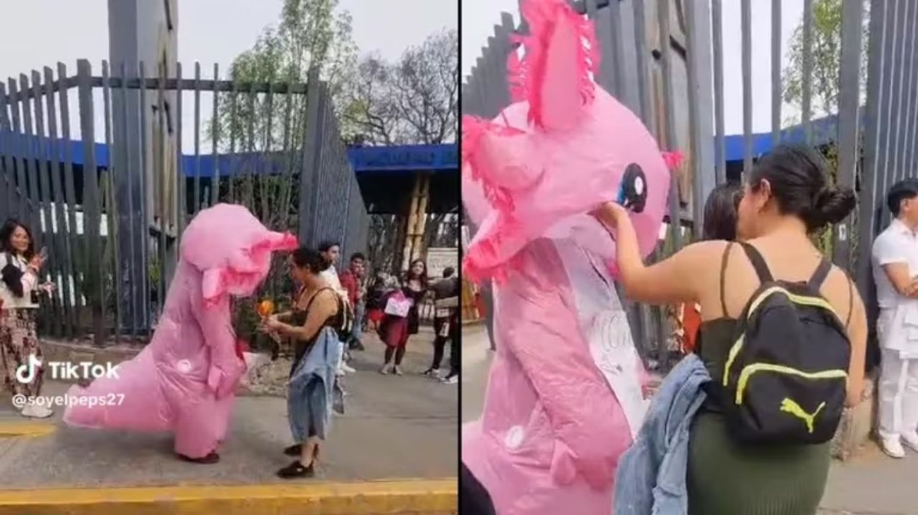 Joven se disfraza de ajolote en San Valentín y lo rechazan