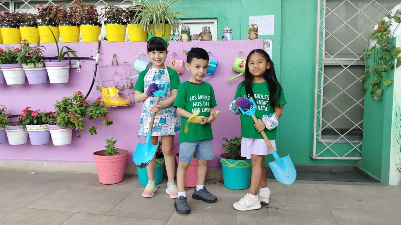 diseno_87_221120f32d