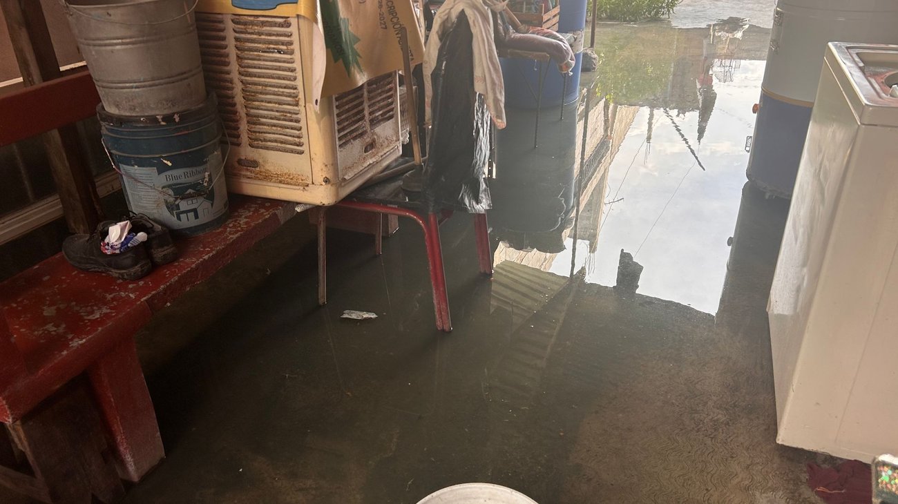 Viven entre aguas negras por colapso de drenaje en Guadalupe
