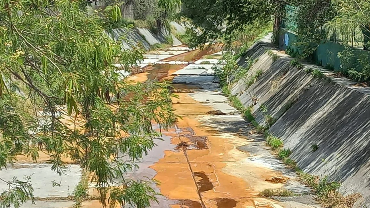 ea05e689_37f6_4511_a292_afb8bb22530c_d717550d94