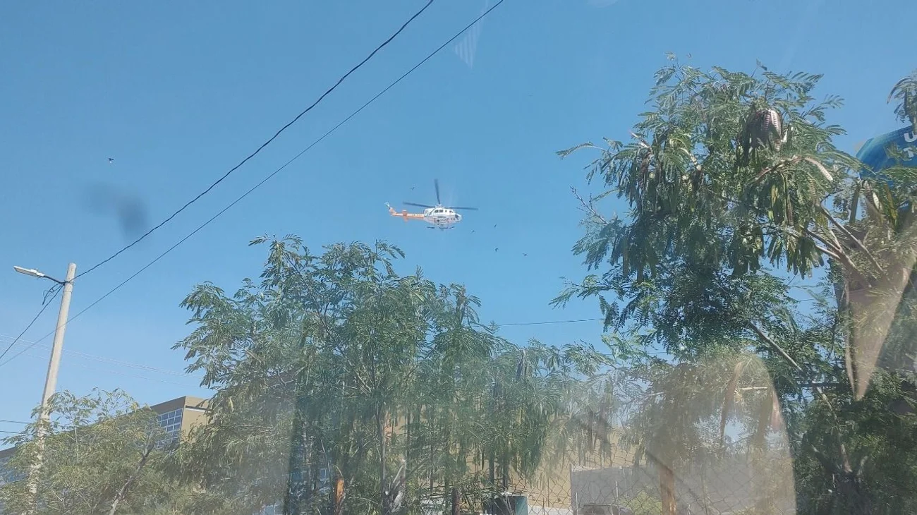 eb7b8875_1eb4_4fbb_a913_2c4eee022e1e_c301712a11